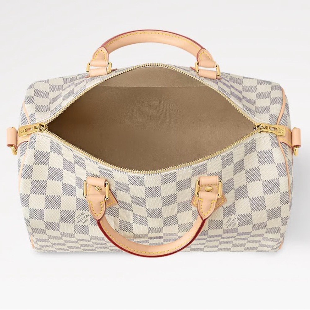 Louis Vuitton speedy 30 Damien Azur